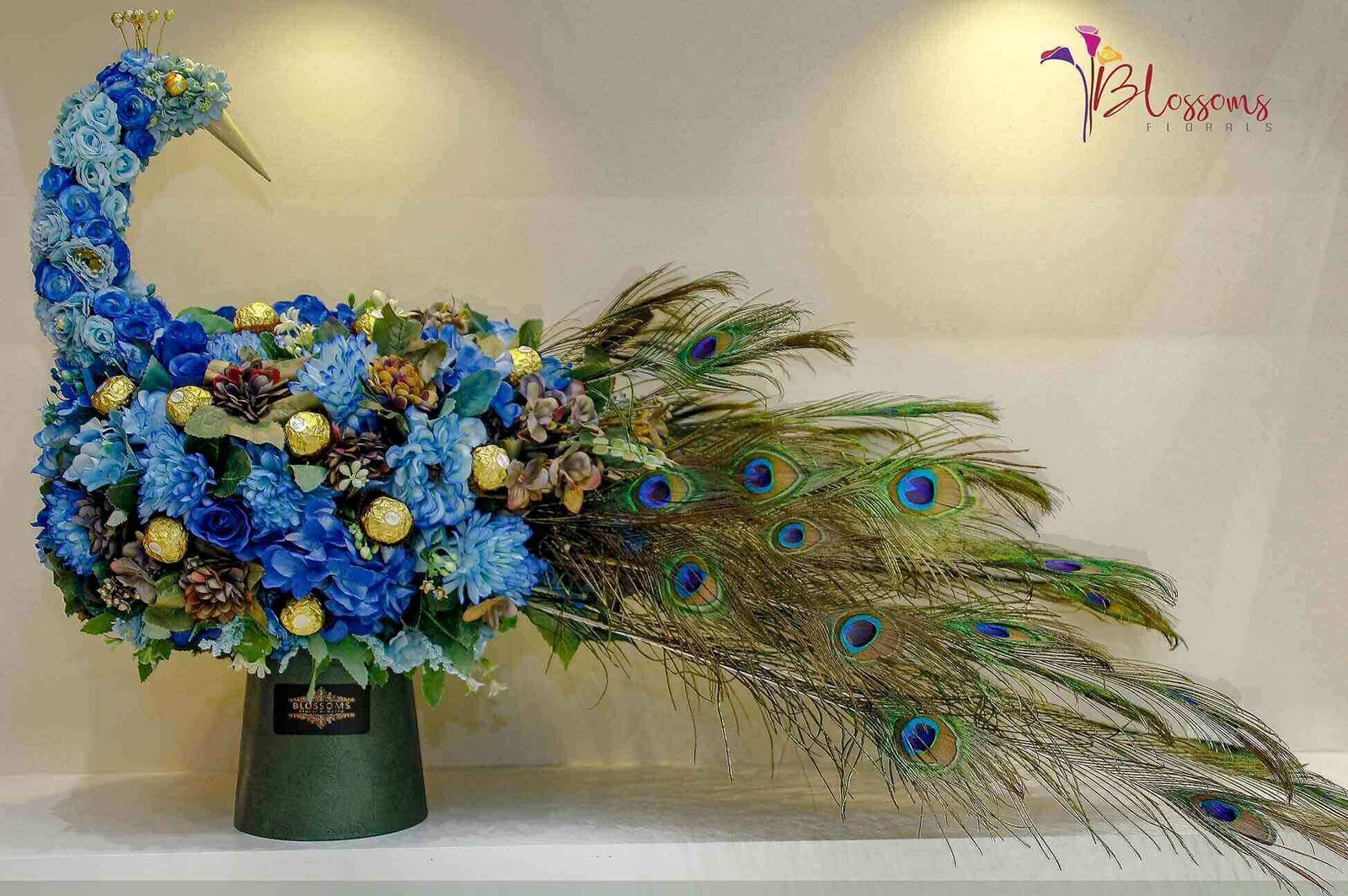 Everyone's Special Pecoc